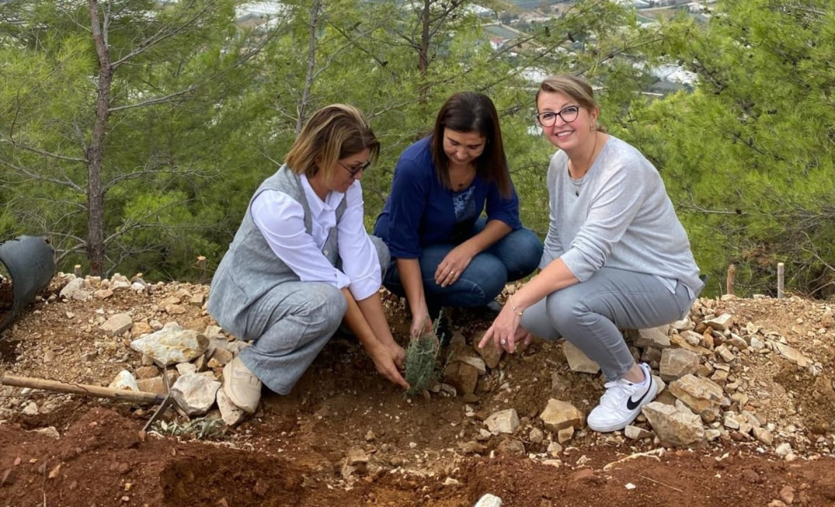 ANAMUR’DA ZEYTİN POSALARI TOHUMLARA YUVA OLDU