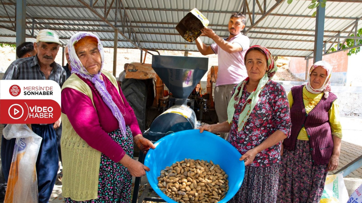 BÜYÜKŞEHİR’İN BADEM SOYMA MAKİNESİ DESTEĞİ İLE HASAT ZAMANI ÇİLE OLMAKTAN ÇIKTI