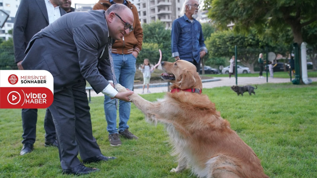 GERİ DÖNÜŞÜMDEN PATİ PARK