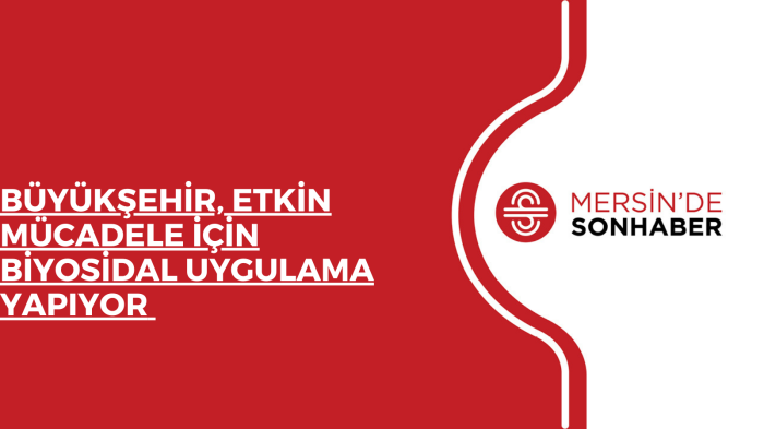 BÜYÜKŞEHİR, ETKİN MÜCADELE İÇİN BİYOSİDAL UYGULAMA YAPIYOR