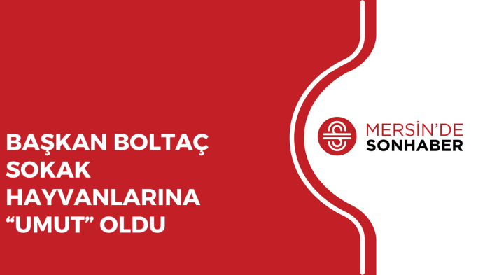 BAŞKAN BOLTAÇ SOKAK HAYVANLARINA “UMUT” OLDU