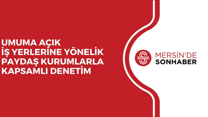 UMUMA AÇIK İŞ YERLERİNE YÖNELİK PAYDAŞ KURUMLARLA KAPSAMLI DENETİM