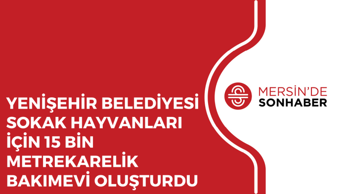 YENİŞEHİR BELEDİYESİ SOKAK HAYVANLARI İÇİN 15 BİN METREKARELİK BAKIMEVİ OLUŞTURDU