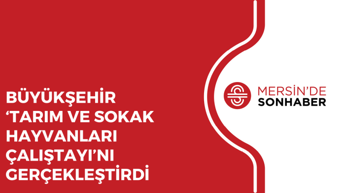 BÜYÜKŞEHİR ‘TARIM VE SOKAK HAYVANLARI ÇALIŞTAYI’NI GERÇEKLEŞTİRDİ