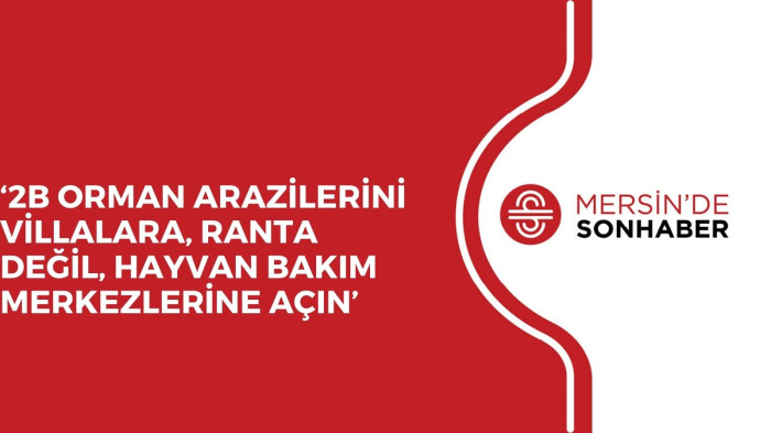 ‘2B ORMAN ARAZİLERİNİ VİLLALARA, RANTA DEĞİL, HAYVAN BAKIM MERKEZLERİNE AÇIN’