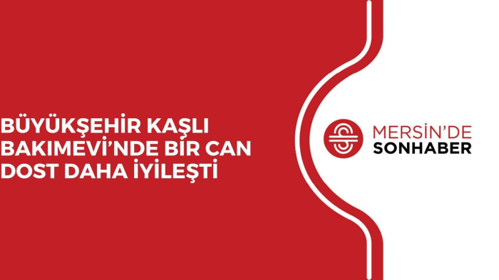 BÜYÜKŞEHİR KAŞLI BAKIMEVİ’NDE BİR CAN DOST DAHA İYİLEŞTİ 