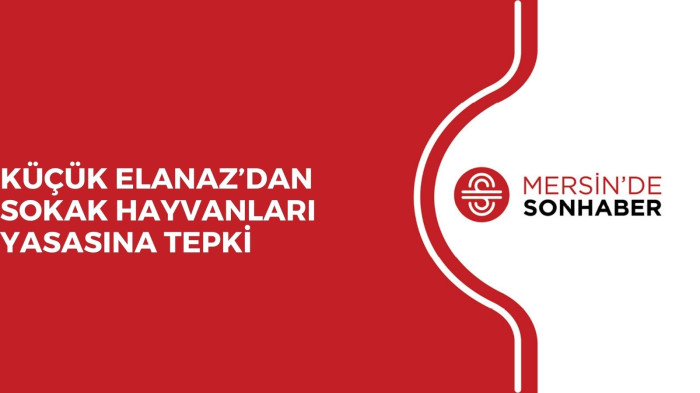 KÜÇÜK ELANAZ’DAN SOKAK HAYVANLARI YASASINA TEPKİ