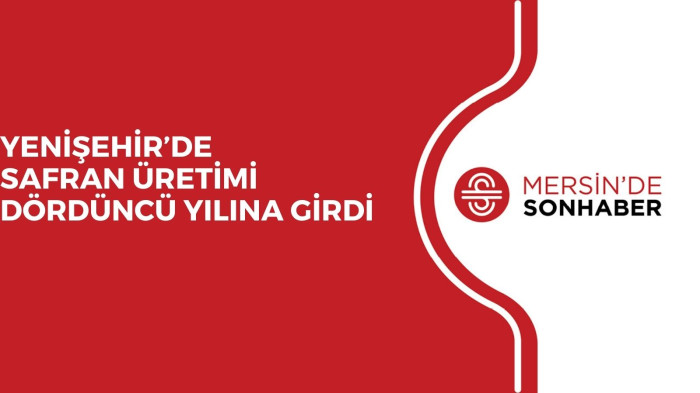 YENİŞEHİR’DE SAFRAN ÜRETİMİ DÖRDÜNCÜ YILINA GİRDİ